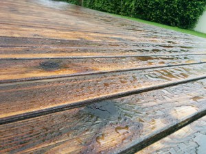 Holz Terrasse schleifen und ölen | Wandernder Falke